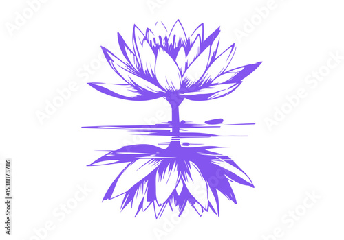 Lotus Flower Hand Drawn Natural Illustration Vector Isolated by AZ for Books, Arts, Design and Decoration Graphic Asset