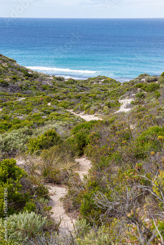Shelly Beach viewed from the hill above from the southern shore of the Nornalup Inlet in the Walpole-Nornalup National Park, Shire of Denmark, Great Southern region of Western Australia, WA, 
