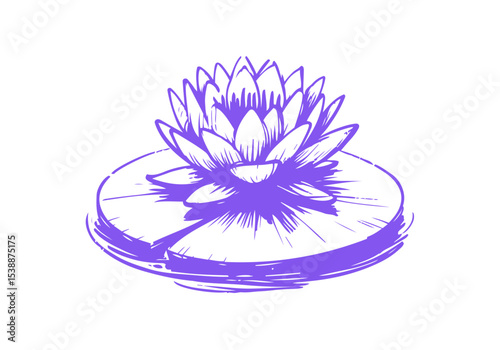 Lotus Flower Hand Drawn Natural Illustration Vector Isolated by AZ for Books, Arts, Design and Decoration Graphic Asset