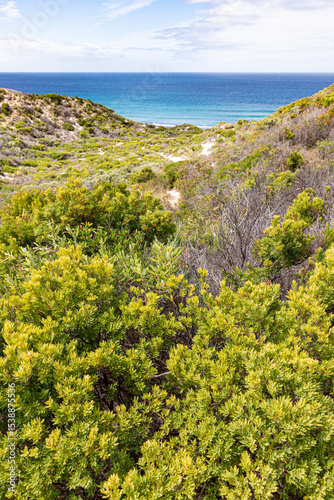 Shelly Beach viewed from the hill above from the southern shore of the Nornalup Inlet in the Walpole-Nornalup National Park, Shire of Denmark, Great Southern region of Western Australia, WA, 