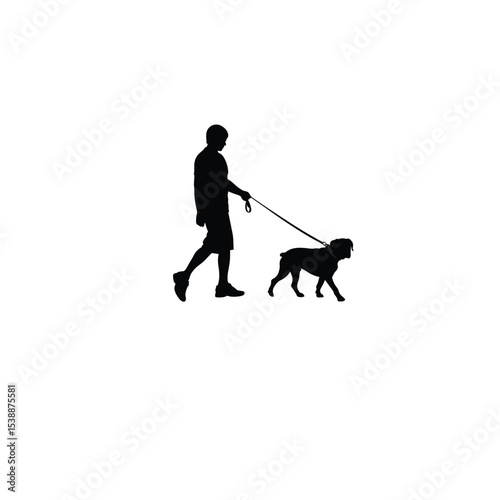 person walking bull dog with leash silhouette on white background