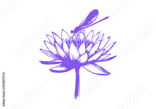 Lotus Flower Hand Drawn Natural Illustration Vector Isolated by AZ for Books, Arts, Design and Decoration Graphic Asset