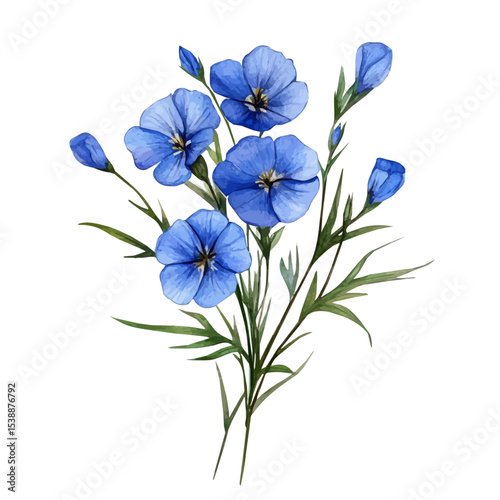 watercolor vector of A Flax Bouquet, isolated on a white background.