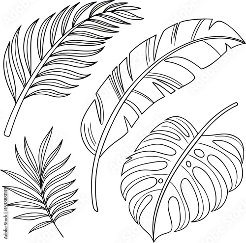 Decorative seamless feather patterns and vector illustrations featuring diverse bird, leaf, and vintage quill designs for nature-inspired art and design projects