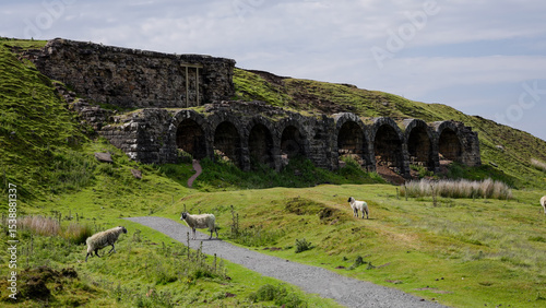 Sheep grazing near the iconic calcining kilns at Rosedale Chimney Bank in North York Moors National Park, UK, showcasing industrial heritage amidst natural beauty