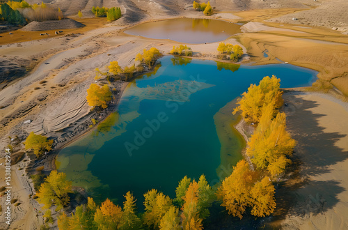 The poplar trees by the desert lake in autumn	