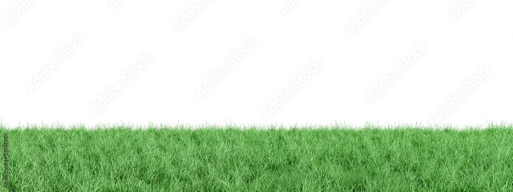 green grass isolated on white background green grass isolated on white background