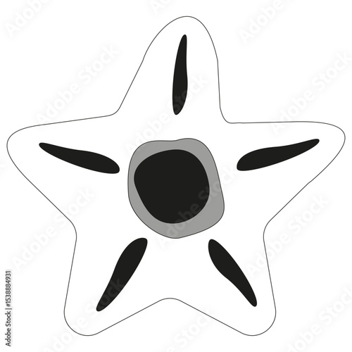 Starfish vector icon. Ocean animal shape. Black white drawing. Underwater sea symbol.