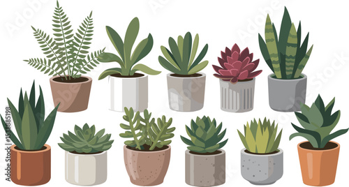 Different plant collection in pot for home decoration, isolated on a white background. Minimalist Potted Plant Collection, Indoor Plants and Decorative Pots, Simple Houseplant Illustration.