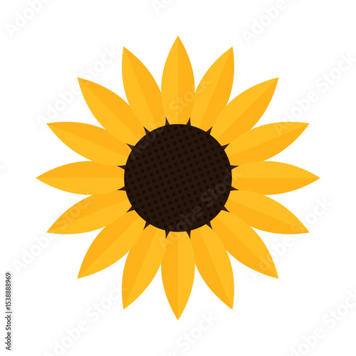 Sunflower icon isolated on white background