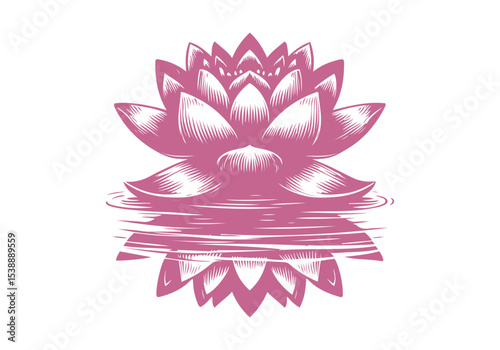 Lotus Flower Engraved Hand Drawn Natural Illustration Vector Isolated by AZ for Books, Arts, Design and Decoration Graphic Asset