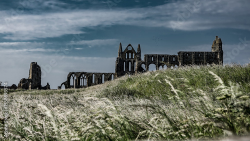 Slika na platnu Whitby Abbey's ruins dominating the landscape of North York Moors National Park