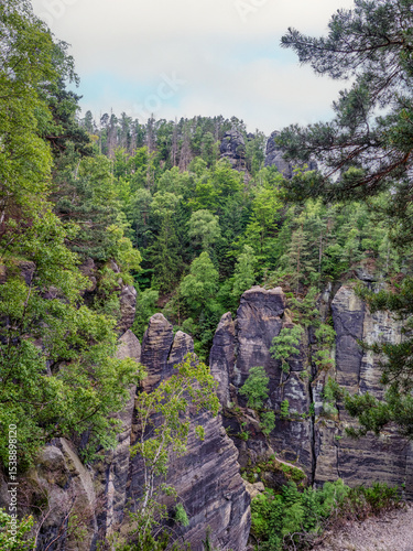 Elbsandsteingebirge