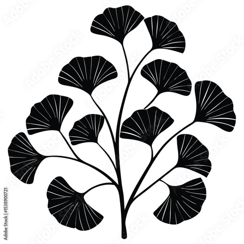 Black and White Ginkgo Biloba Branch Illustration Featuring Fan Shaped Leaves in a Detailed Silhouette Style