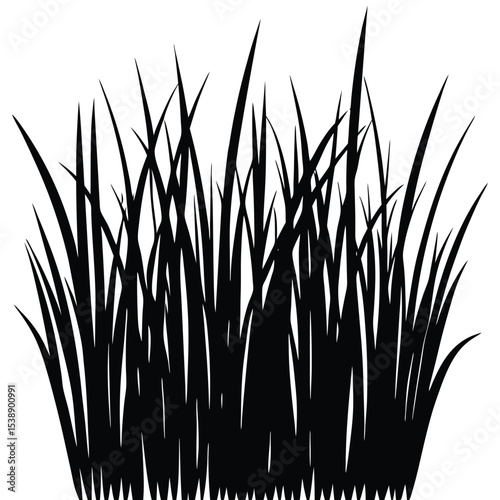 Detailed Black Silhouette of Tall Grass Blades Ideal for Landscape Architectural Designs and Illustrations