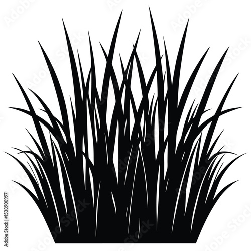 Detailed Black Silhouette of Tall Grass Blades Dense Cluster Isolated on White Background Ideal for Landscape Architectural Designs and Illustrations