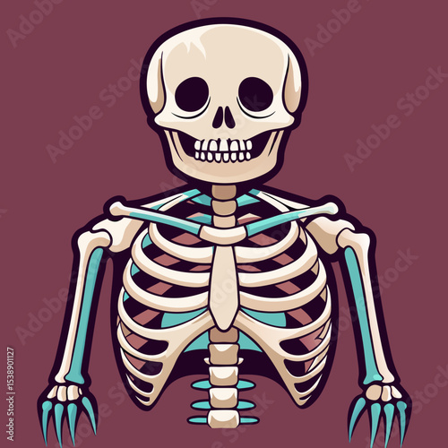 human skull vector