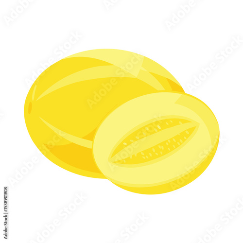 Fresh yellow canary melon whole and sliced displayed with white background vector illustration