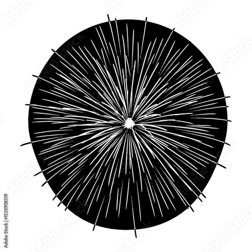 Decorative Vintage Fireworks Burst Explosion Black and White Outline Line Art Drawing Illustration Engraving Style Graphic