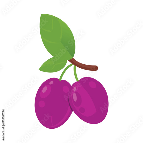 Fresh and juicy vector illustration of two plums with green leaves isolated on white