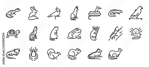 Set of Exotic pets vector stroke icons. such as Leopard Gecko, Animal, Cute, Sulcata, Frog, Bushbaby, Horned Beetle, Pogona illustration.