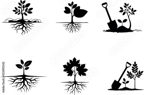Black plant growth icons showing sprouting, digging, and nurturing stages with root systems
