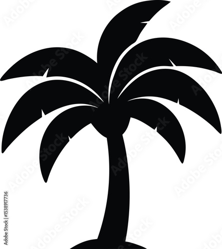 palm tree silhouette