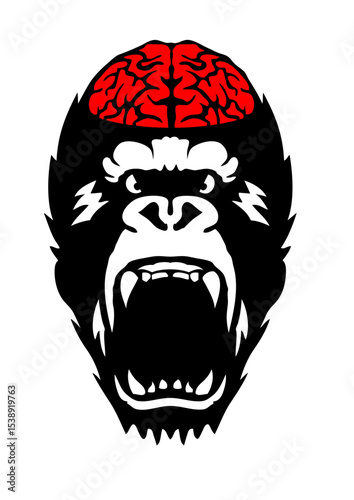 cervelle gorille cerveau gueule ouverte