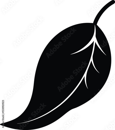 Mango and leaf vector illustration