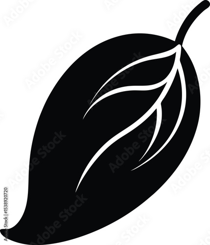 Mango and leaf vector illustration