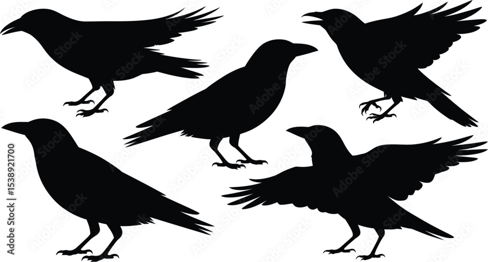 Obraz premium A collection of five black raven silhouettes in various positions
