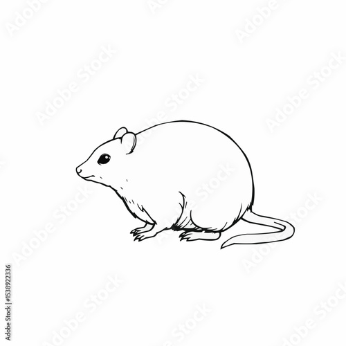 Rodent standing in profile.