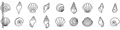 Black and white outline seashells. Simple linear images of sea shells isolated on white background. Vector illustration.