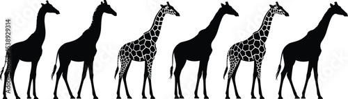  Six Majestic Silhouetted Giraffes Standing Tall, Illustrating African Wildlife and Safari Animals in a Seamless Pattern, Ideal for Nature-Themed Designs 