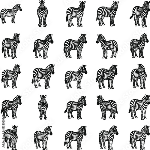 Multiple black and white zebra illustrations