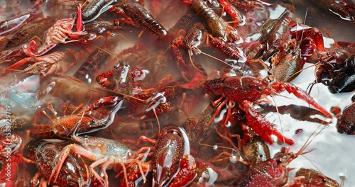 A large group of fresh live crawfish crowded together in water at a seafood market.