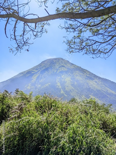 view above the flower mountain