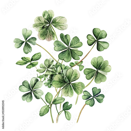 A Clover Bouquet, watercolor vector, isolated on a white background.