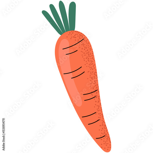 Flat style illustration of a fresh orange carrot with green leaves. Ideal for food graphics, healthy eating projects and vegetarian concepts.