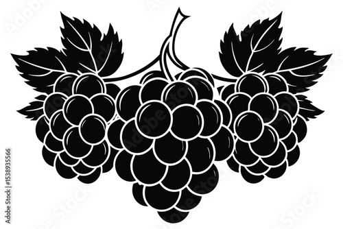 Blackberry Illustration A Cluster of Juicy, Ripe Berries