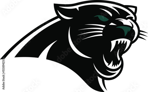 Illustration of a black panther head with green eyes on a light background