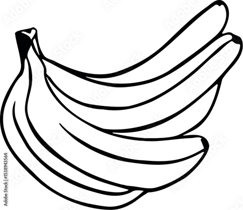 Illustration of banana bunch vector illustration for healthy eating and fruit design projects isolated on white background vector