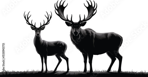 Two deer standing in a field with large antlers in black and white