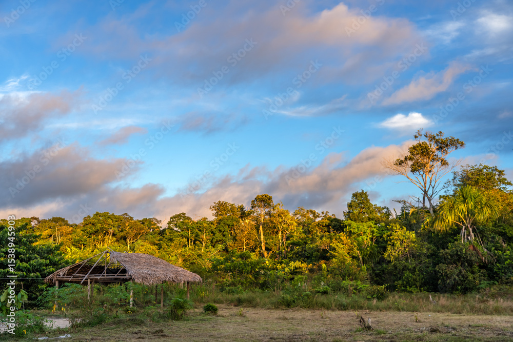 house in the Colombian Amazon jungle with the light of the sunset over the vegetation, colorful trees and clear skies house in the Colombian Amazon jungle with the light of the sunset over the vegetation, colorful trees and clear skies
