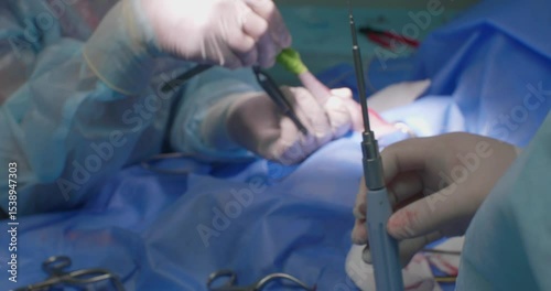 Professional veterinary surgeons performing precise bone fixation on dog's broken limb within sterile operating room, using specialized surgical instruments.