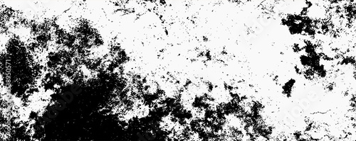Black and white abstract texture showcasing intricate patterns and contrasts found in nature's raw elements and geological formations