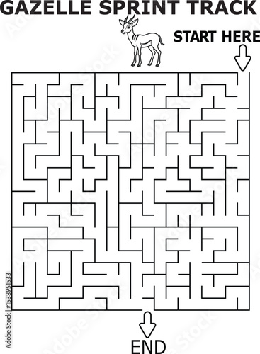 Gazelle sprint track maze fun kids activity game