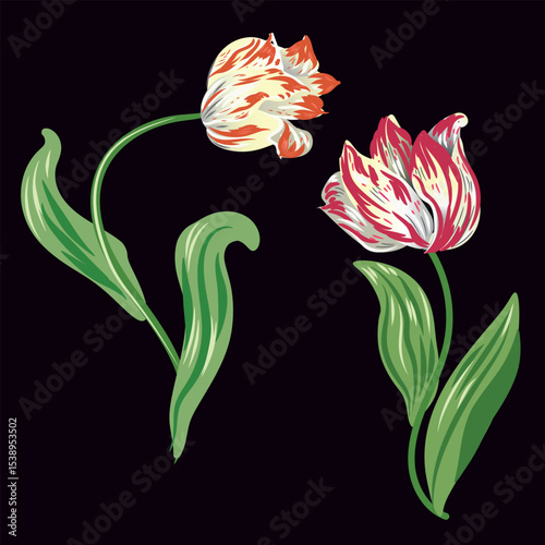 print WITH BEAUTIFUL TULIPS FOR PRINTING TEXTILE FASHION AND DECORATION