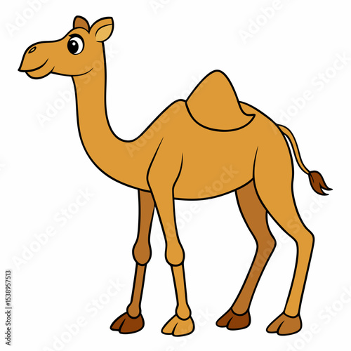 Camel Walking art vector illustration