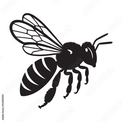 Vector, black,  Bee Silhouette Image White Background,